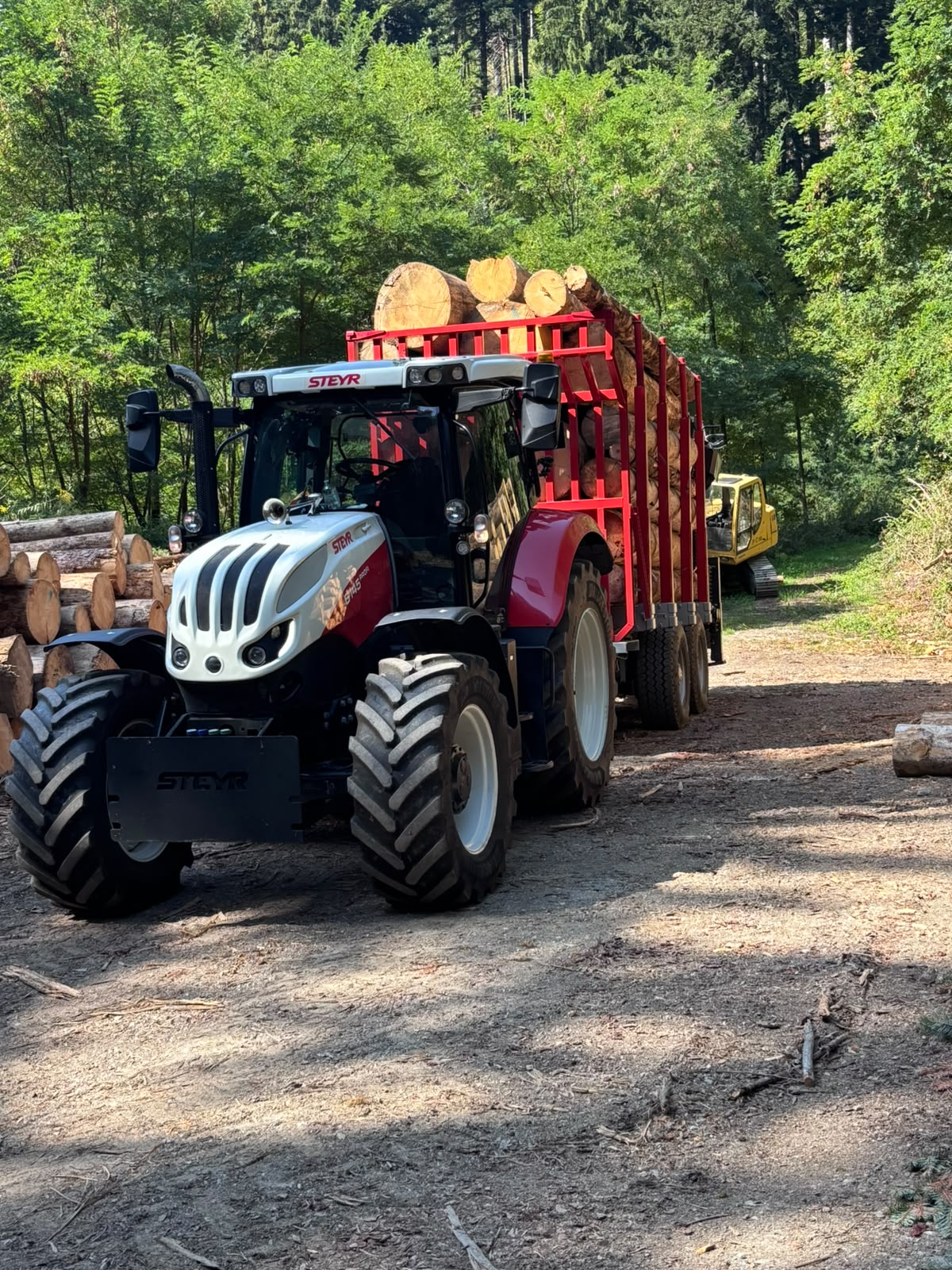 Camion carico di legnami su strada forestale di montagna