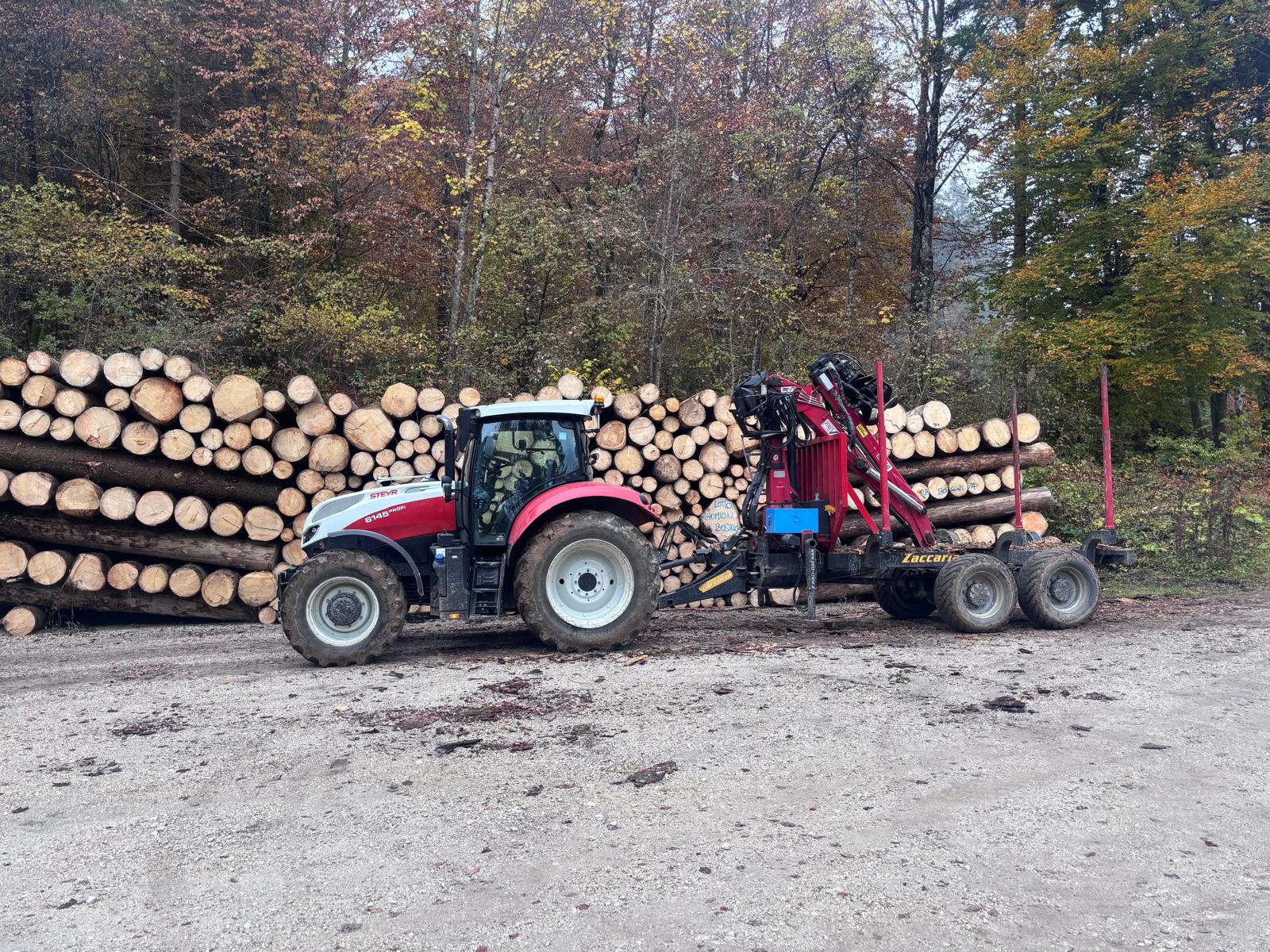 Trattore STEYR con gru forestale davanti a cataste di tronchi nel bosco autunnale
