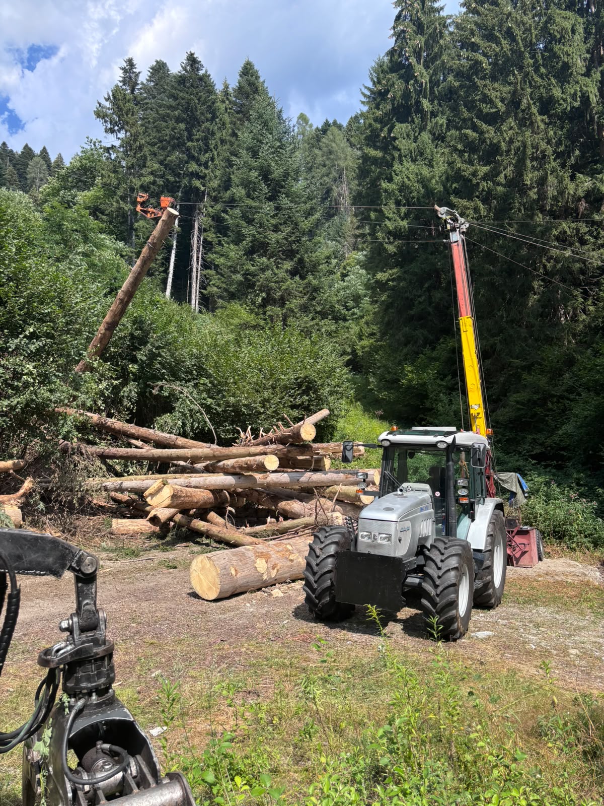 Mezzo forestale durante un intervento di esbosco in montagna